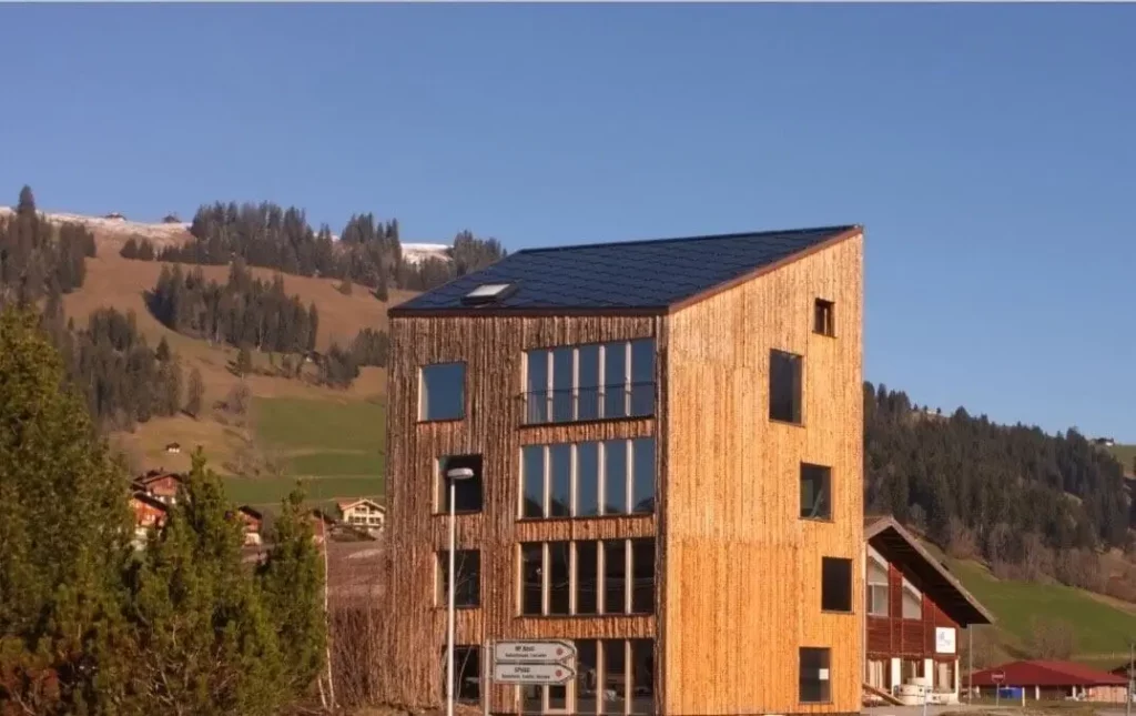 Holz